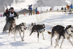 Lenk 2012 SM